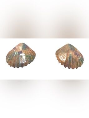 Vintage 80’s Shell Design Post Earrings in Pastel Colors. Pre Owned